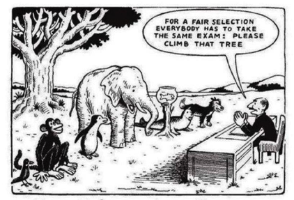 Our Education System Cartoon. A drawing of a bird, monkey, penguin, elephant, fish, seal and dog standing before an exam proctor who says, 